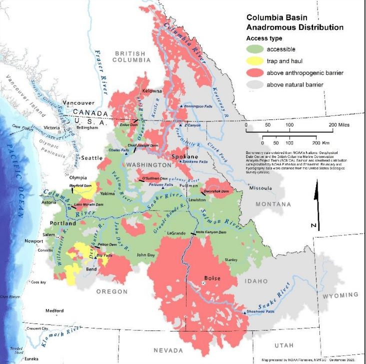 Report says dam removal key to restoring Columbia River salmon and